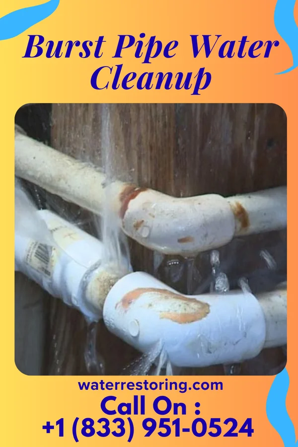 Burst Pipe Water Cleanup in Niles, OH