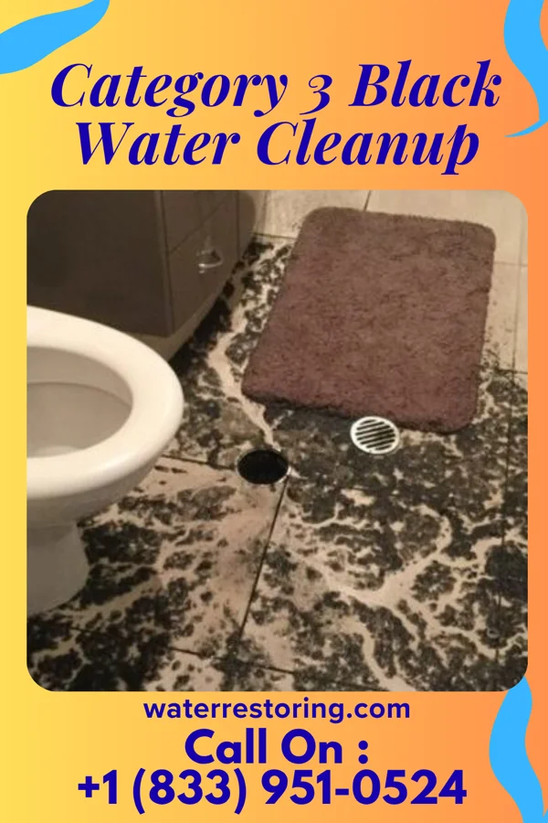 Category 3 Black Water Cleanup in Niles, OH