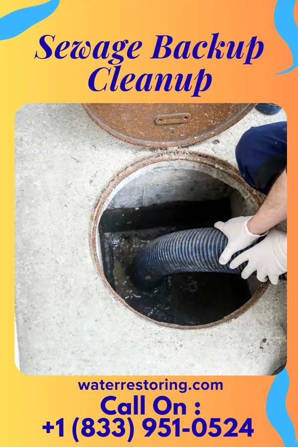 Sewage Backup Cleanup in Niles, OH